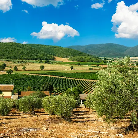 Poggiolivi *