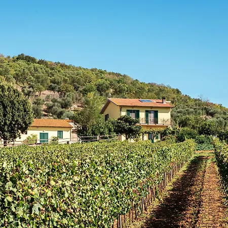 Hotel Poggiolivi Grosseto